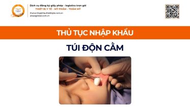 THỦ TỤC NHẬP KHẨU TÚI ĐỘN CẰM CHÍNH NGẠCH VỀ VIỆT NAM
