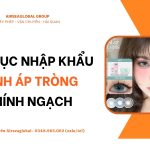 thu tuc nhap khau kinh ap trong
