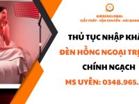 thu tuc nhap khau den hong ngoai chinh ngach