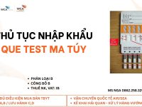 thu tuc nhap khau que test ma tuy