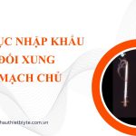 THỦ TỤC NHẬP KHẨU BÓNG ĐỐI XUNG ĐỘNG MẠCH CHỦ