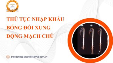 THỦ TỤC NHẬP KHẨU BÓNG ĐỐI XUNG ĐỘNG MẠCH CHỦ