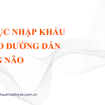 THỦ TỤC NHẬP KHẨU BỘ TẠO ĐƯỜNG DẪN TRONG NÃO
