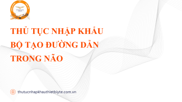 THỦ TỤC NHẬP KHẨU BỘ TẠO ĐƯỜNG DẪN TRONG NÃO