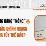 Thủ tục nhập khẩu test ma tuý chính ngạch mới nhất