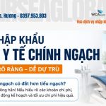CHI PHI NHAP KHAU THIET BI Y TE CHINH NGACH