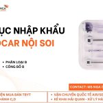 Nga (1)