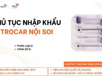 Nga (1)