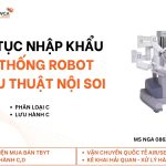 Nga (10)