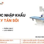 Nga (16)