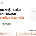 Nga (6)