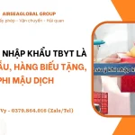 THU TUC NHAP KHAU TBYT LA HANG MAU, HANG BIEU TANG, PHI MAU DICH