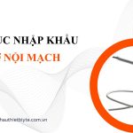 THỦ TỤC NHẬP KHẨU GIÁ ĐỠ NỘI MẠCH
