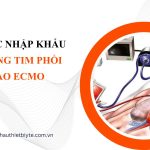 THỦ TỤC NHẬP KHẨU HỆ THỐNG TIM PHỔI NHÂN TẠO ECMO