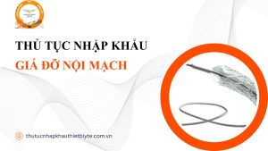 THỦ TỤC NHẬP KHẨU GIÁ ĐỠ NỘI MẠCH