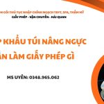 nhap khau tui nang nguc can lam giay phep gi