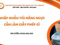 nhap khau tui nang nguc can lam giay phep gi