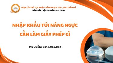 nhap khau tui nang nguc can lam giay phep gi