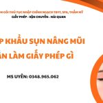 nhap khau sun nang mui can giay phep gi