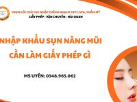 nhap khau sun nang mui can giay phep gi