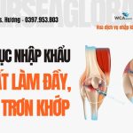 THU TUC NHAP KHAU CHAT LAM DAY BOI TRON KHOP