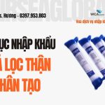 THU TUC NHAP KHAU MONITOR THEO DOI BENH NHAN