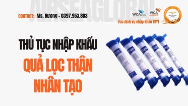 THU TUC NHAP KHAU QUA LOC THAN NHAN TAO