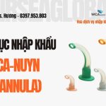 THU TUC NHAP KHAU CANNULA