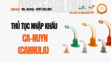 THU TUC NHAP KHAU CANNULA