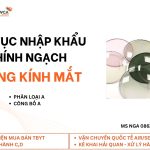 Nga (17)