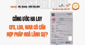 Việt Nam Gia Nhập Công Ước Hague (Apostille) Nhập Khẩu Thiết Bị Y Tế Có Còn Cần Hợp Pháp Hóa Lãnh Sự