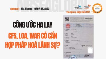 Việt Nam Gia Nhập Công Ước Hague (Apostille) Nhập Khẩu Thiết Bị Y Tế Có Còn Cần Hợp Pháp Hóa Lãnh Sự