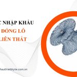 THỦ TỤC NHẬP KHẨU BỘ COIL ĐÓNG LỖ THÔNG LIÊN THẤT (1)