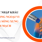 THỦ TỤC NHẬP KHẨU Bóng nong ngoại vi sử dụng sóng xung kích nội mạch