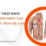 thủ tục nhập khẩu Bộ van tim nhân tạo sinh học thay qua da