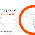 thủ tục nhập khẩu Bóng nong mạch ngoại vi