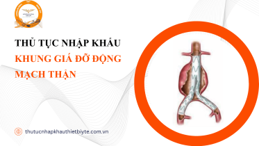 thủ tục nhập khẩu Khung giá đỡ động mạch thận