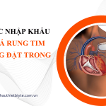 thủ tục nhập khẩu Máy phá rung tim tự động đặt trong cơ thể